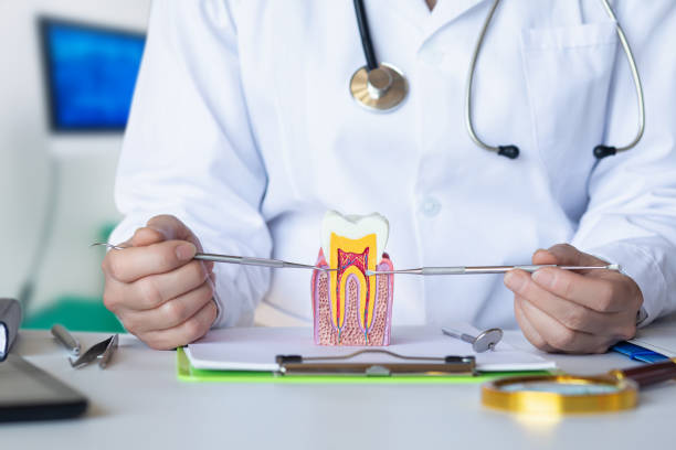 Best Emergency Tooth Extraction in Westvle, IL